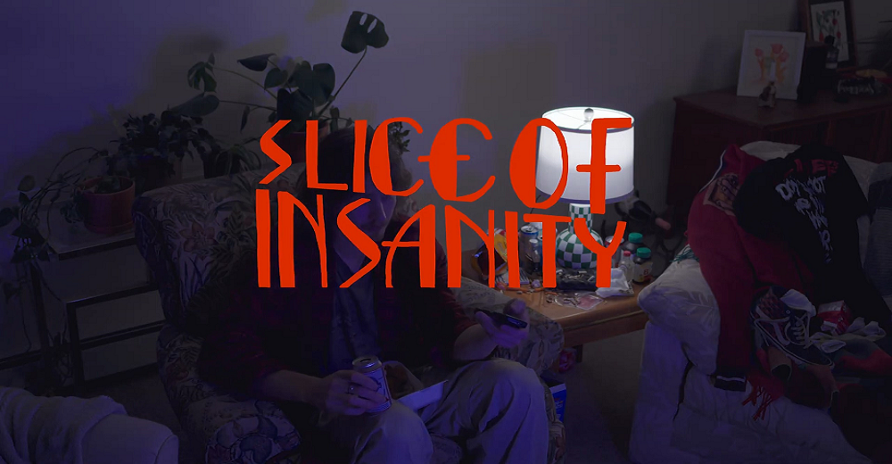 Thumbnail for Slice Of Insanity