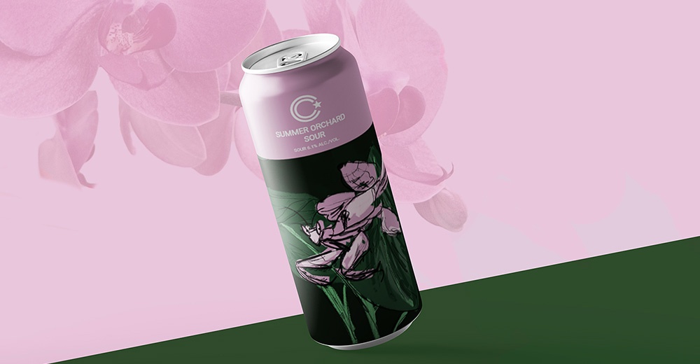 Thumbnail for Collective Arts Brewing - Concept Packaging Design